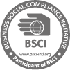 BSCI-Participant-Logo-100x100px.png